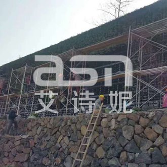 景观绿雕